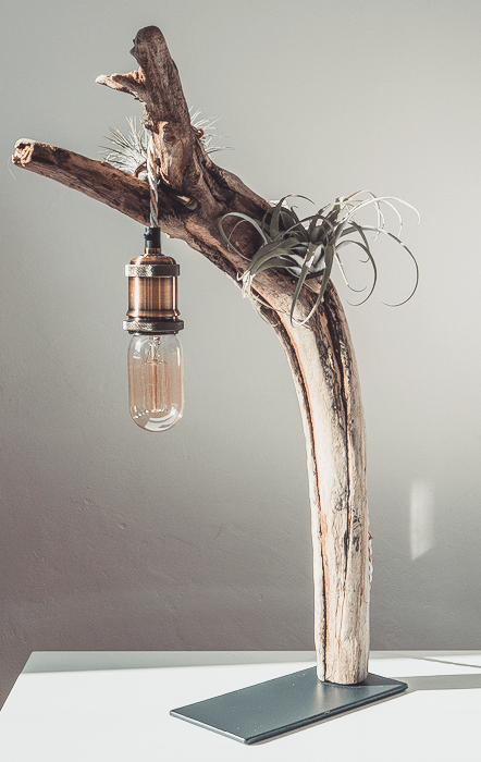 Moorea - Imagen 5