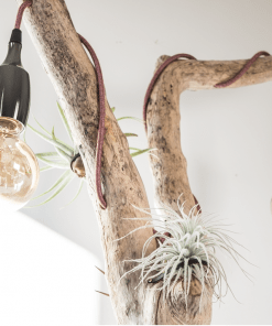 Lámpara artesanal de mesa hecha a mano con madera de deriva, cuidadosamente seleccionada, tratada y saneada. Sobre un soporte de hierro reciclado de astilleros navales y decoradas con preciosas plantas de aire.
