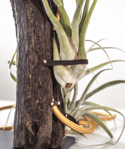 Lámpara artesanal de mesa Foz hecha a mano con madera de deriva