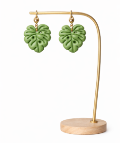 Alternative view of Monstera